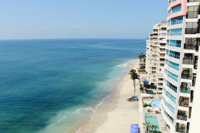 chambre-hote-TOULON-min_beach_ocean_shore_hotel_palm_tree-33726